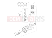 TRIUMPH Tiger 900 GT crankshaft, connecting rods, pistons & liners
