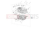 TRIUMPH Tiger 900 GT crankcase & fittings