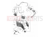 YAMAHA YZF-R1 YZF-R1 YZF1000 YZFR1N1 [USA] (B3LT) 2022 RADIATOR & HOSE