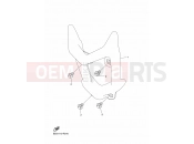 YAMAHA YFM 90 Raptor YFM90R RAPTOR 90 YFM09RYXN (BD3K) 2022 GUARD