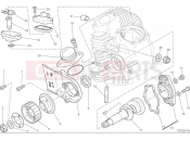 DUCATI Scrambler Icon Horizontal head timing system
