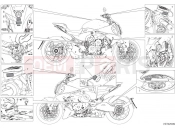 DUCATI Diavel V4 Positioning plates