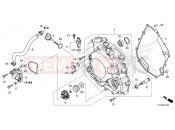 HONDA SH350 SPORT - SPECIAL EDITION (SH350AST) 2026 E-7 RIGHT CRANKCASE COVER/WATER PUMP