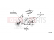HONDA SH350 SPORT - SPECIAL EDITION (SH350AST) 2026 F-48 MARK/STRIPE