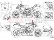 DUCATI 2025 Streetfighter V4 S Positioning plates (1)