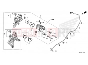 HONDA AFRICA TWIN 1100 DCT (CRF1100DT) 2026 F-17 REAR BRAKE CALIPER