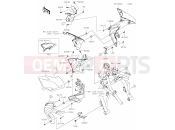 KAWASAKI 2026 66 Shroud