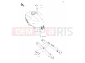 KAWASAKI 2025 60 Labels