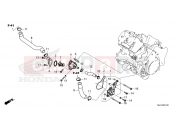 HONDA XL750 TRANSALP (XL750T) 2026 E-21 THERMOSTAT/WATER HOSE