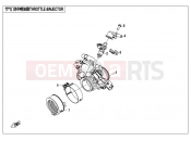 CFMOTO 2019 MOTORCYCLE 300 NK (CF300) THROTTLE&INJECTOR
