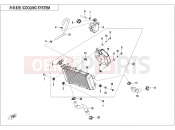 CFMOTO 300 NK (CF300-BF [EU5] ) COOLING SYSTEM - F18