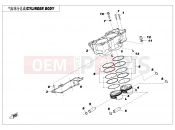 CFMOTO 2025 MOTORCYCLE 700 CL-X (CF700-2DH) CYLINDER BODY - E02-4