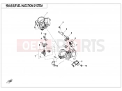 CFMOTO CFORCE 800 (CF800ATR-3) FUEL INJECTION SYSTEM - F15-3