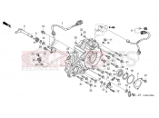 HONDA PIONEER 520 (SXS520MR) 2024 E-10 REAR CRANKCASE COVER