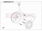CFMOTO 2014 SSV ZFORCE 500 (CF500US) MAGNETO STATOR ASSY - E03