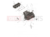 TRIUMPH SPEED TRIPLE 1200 RX Crankcase & Fittings