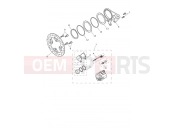 TRIUMPH SPEED TRIPLE 1200 RX Rear Brake Caliper & Discs