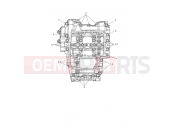 TRIUMPH DAYTONA 660cc - CM3407 > Crankcase Bolts