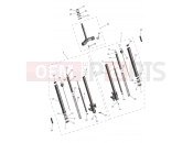 TRIUMPH Tiger Sport 800 Front Forks & Lower Yoke Assy