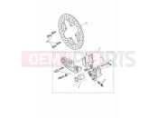 TRIUMPH Tiger 900 Rally Pro Rear brake caliper & discs