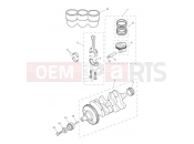 TRIUMPH Tiger 900 Rally Crankshaft, Connecting Rods, Pistons & Liners