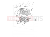 Triumph 2021 Tiger 900 Rally Crankcase & Fittings