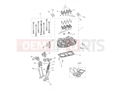 Triumph 2026 SPEED TWIN RS 1200 Cylinder Head & Valves