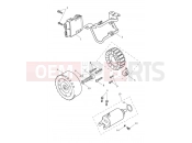 Triumph 2026 TIGER SPORT 660cc from CN4034 Alternator & Starter Motor