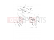 TRIUMPH STREET TRIPLE 765 R Front Mudguard