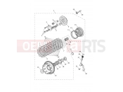 TRIUMPH STREET TRIPLE 765 R Clutch