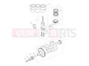 Triumph 2026 TIGER 900 GT Pro - BP5373 > Crankshaft, Connecting Rods, Pistons & Liners