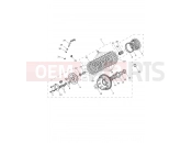 Triumph 2021 TIGER 900 Clutch