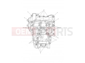 Triumph 2021 TIGER 900 Crankcase Bolts