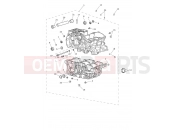 Triumph 2021 TIGER 900 Crankcase & Fittings