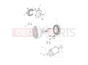 Triumph 2026 STREET TRIPLE 765 RX Starter & Alternator