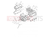 Triumph 2025 Tiger 1200 GT Pro Crankcase & Fittings