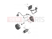 Triumph 2026 Tiger Sport 800 Tour Starter & Alternator