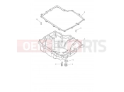 TRIUMPH TIGER 900 Alpine Sump & Fittings
