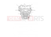 TRIUMPH Tiger 1200 Alpine Crankcase Bolts