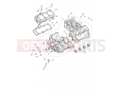 Triumph 2024 Tiger 1200 Rally Pro Crankcase & Fittings