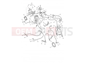 Triumph 2024 Tiger 1200 Rally Pro ABS System