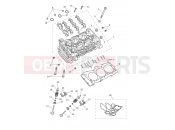 Triumph 2025 Tiger 1200 Rally Pro Cylinder Head & Valves