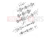 Triumph 2025 Tiger 1200 Rally Pro Transmission