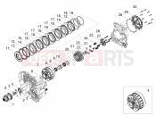 MOTOGUZZI Stelvio (EU) Clutch