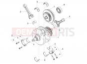 MOTOGUZZI Stelvio (EU) Cranckshaft