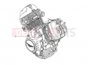 MOTOGUZZI V7 Stone 850 (EU) Engine-Completing part-Lever