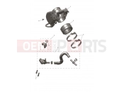 Throttle Bodies - Triumph TF250-C 2026