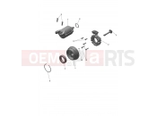 Alternator & Starter Motor - Triumph TF250-C 2026