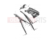 Rear Subframe - Triumph TF250-E 2026