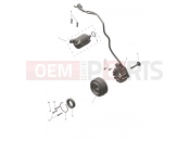 Alternator & Starter Motor - Triumph TF250-E 2026